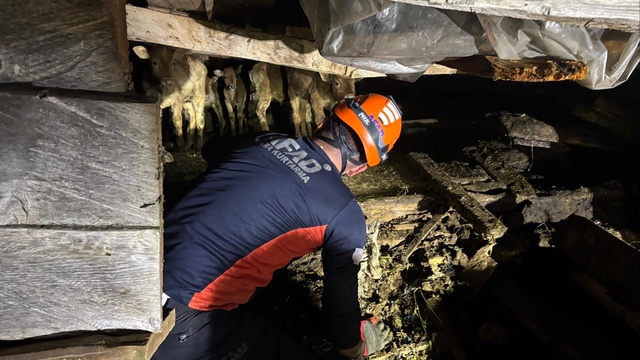 Artvin'de çöken ahırdaki 33 büyükbaş hayvan kurtarıldı