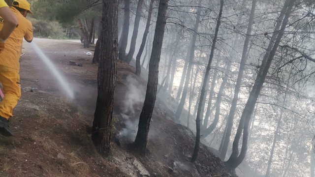 Bafra'da örtü yangını büyümeden söndürüldü