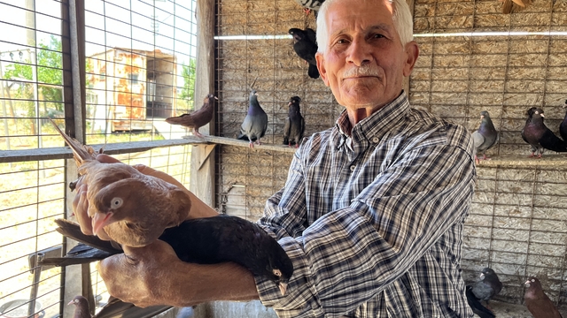 "Evladım" dediği güvercinlerden 52 yıldır kopamıyor