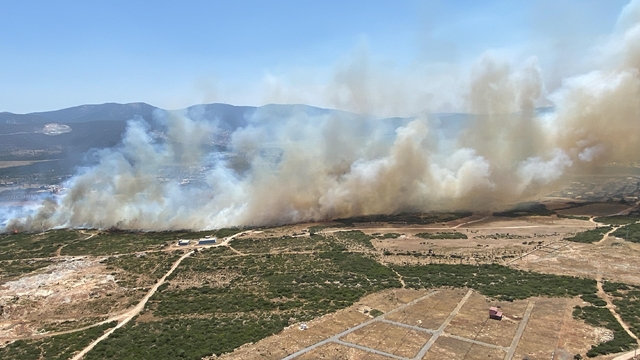 Aydın'ın Didim ilçesinde makilik alanda yangın çıktı