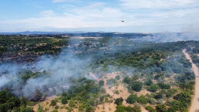 Edirne'deki orman yangını 20,5 saat sonra kontrol altına alındı