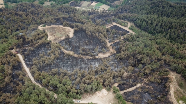 Sakarya'da çıkıp Bilecik'e sıçrayan orman yangını 3'üncü gününde (3)