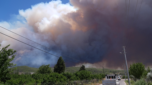 İzmir'in Menderes ve Seferihisar ilçeleri arasında orman yangını çıktı