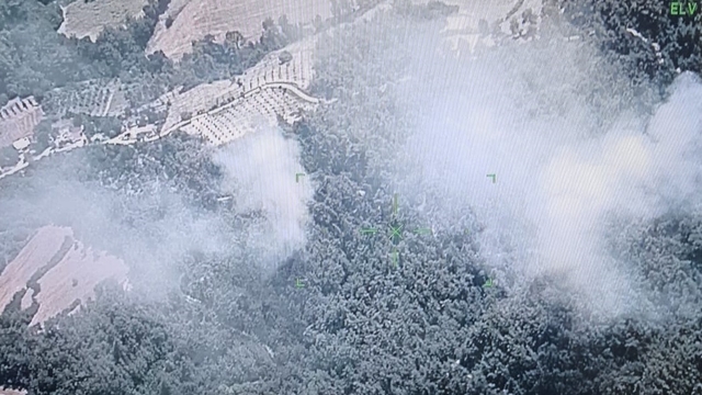 Osmaniye'de orman yangını