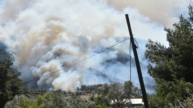 İzmir'de orman yangını (2)