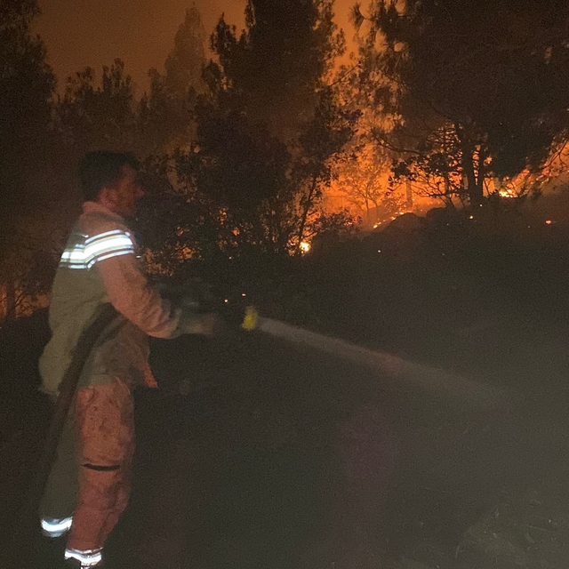 Anız yakarken ormanı yaktılar