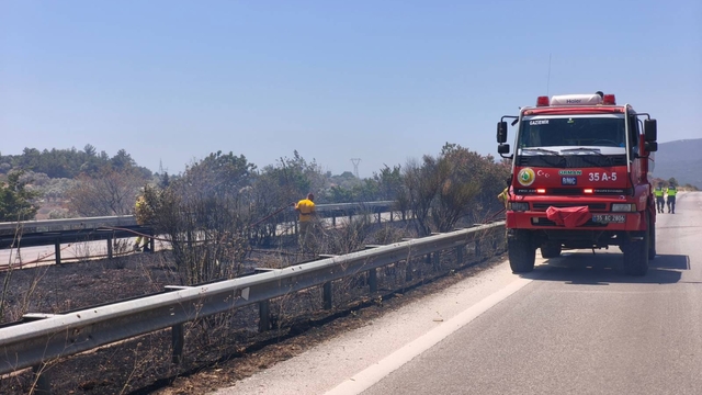 İzmir'de zeytinlik alandan çıkan yangın kontrol altına alındı