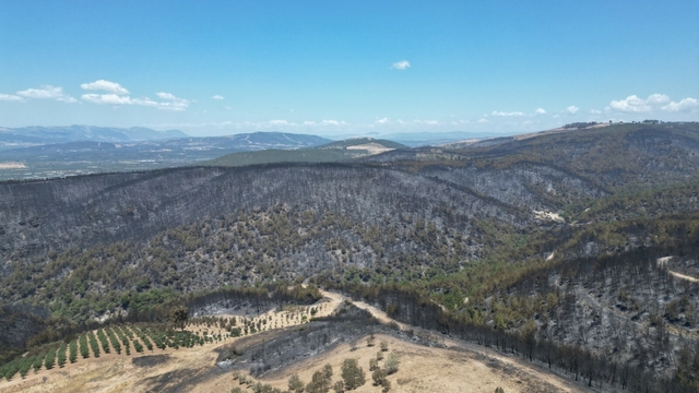 Manisa'daki orman yangını 2'nci gününde (2)