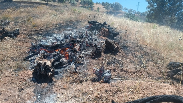 Adıyaman'da tarlada başlayan ve ormana sıçrayan yangın söndürüldü