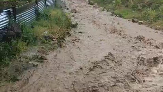 Göle'de sağanak sele yol açtı, evleri su bastı