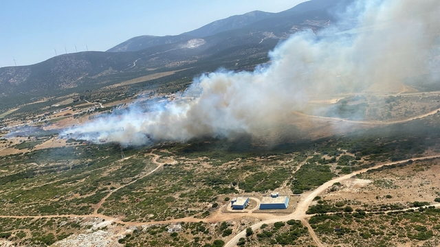 Aydın'da maki yangını (2)
