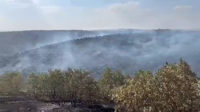 Mardin'de örtü yangını