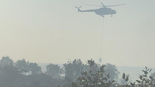 Mardin'de ormanlık alanda çıkan yangına müdahale ediliyor