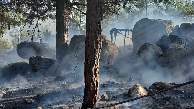 Mersin Aydıncık'ta çıkan orman yangını söndürüldü