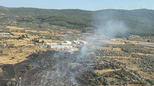 Bodrum'da tarım arazisinde yangın, 2 hektar zarar gördü