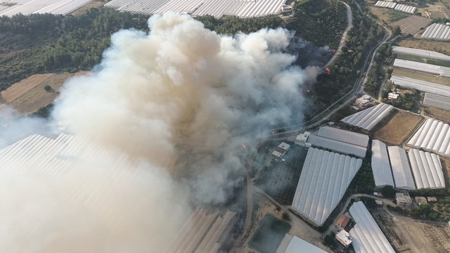Antalya'da çıkan 2 ayrı orman yangınına müdahale ediliyor
