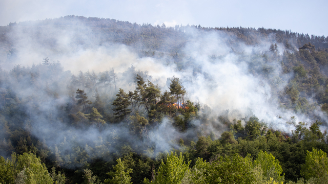 GÜNCELLEME - Sakarya'da çıkan orman yangınında söndürme ve soğutma çalışmaları sürüyor