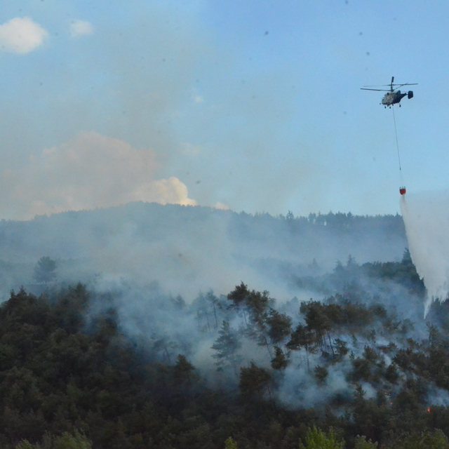 Sakarya'da çıkıp Bilecik'e sıçrayan orman yangını 3'üncü gününde (4)