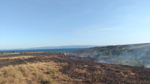 Çanakkale'de çıkan yangında 100 dönüm buğday ekili alan ve 150 dönüm makilik alan yandı
