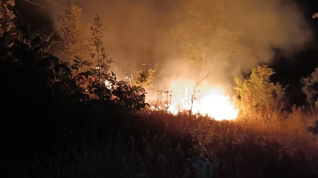 Mersin'de orman yangını