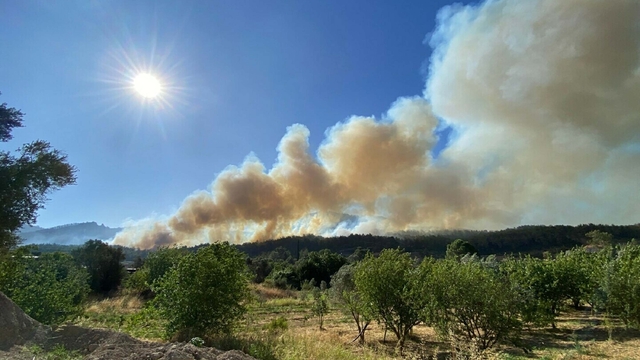 İzmir'deki orman yangını 2'nci gününde