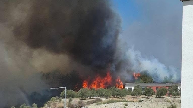 Hatay'da orman yangını