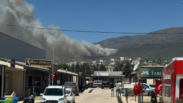 Hatay'da ormanlık alanda yangın çıktı