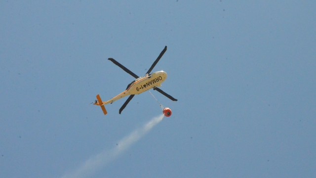 Sakarya'daki orman yangınında soğutma çalışmaları sürüyor