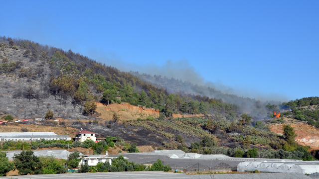 Antalya'da orman yangını (3)