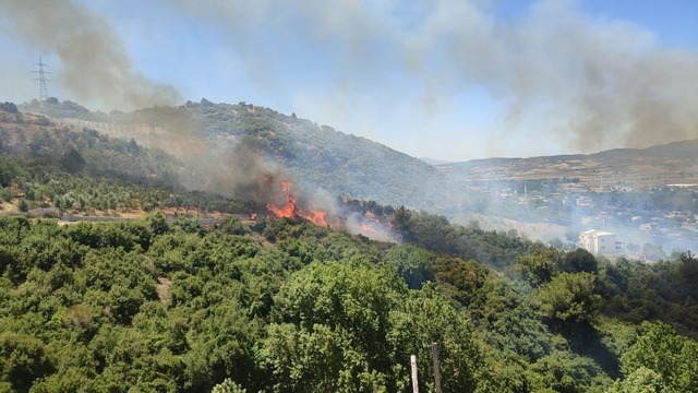 Osmaniye Düziçi'nde çıkan orman yangını kontrol altına alındı