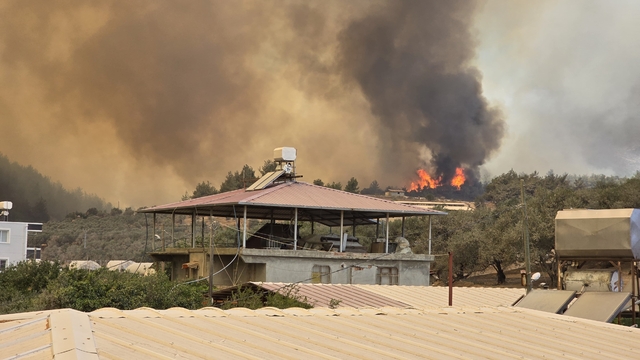 Hatay'da orman yangını (2)
