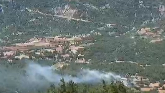Adana'da orman yangını