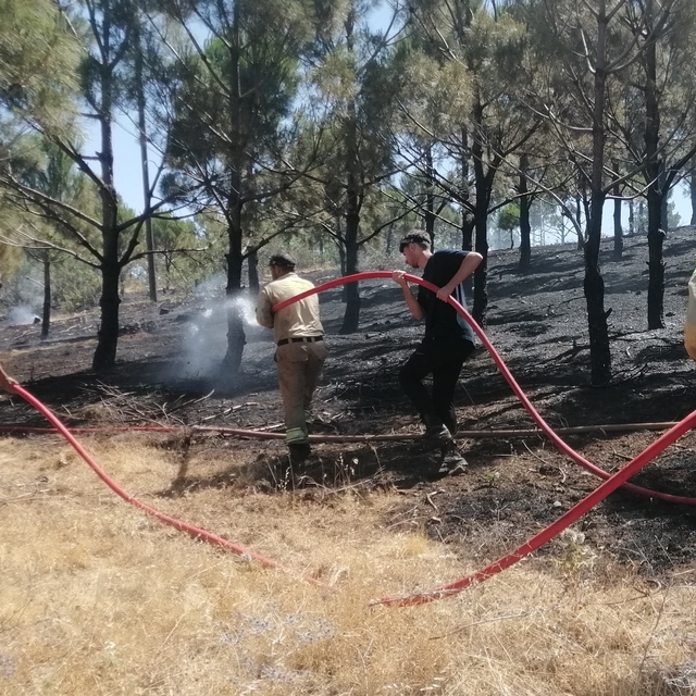 Kahramanmaraş'ta çıkan orman yangını söndürüldü