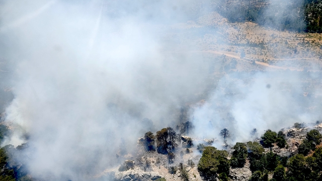Mersin'de orman yangını çıktı