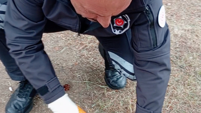 Yozgat'ta kafası konserve kutusuna sıkışan kediyi güvenlik görevlisi kurtardı