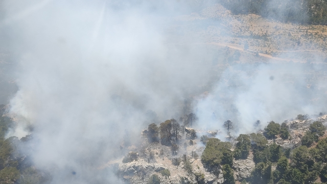 Mersin'de orman yangını