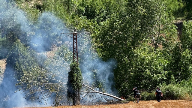 Adana'nın Kozan ilçesinde orman yangını çıktı