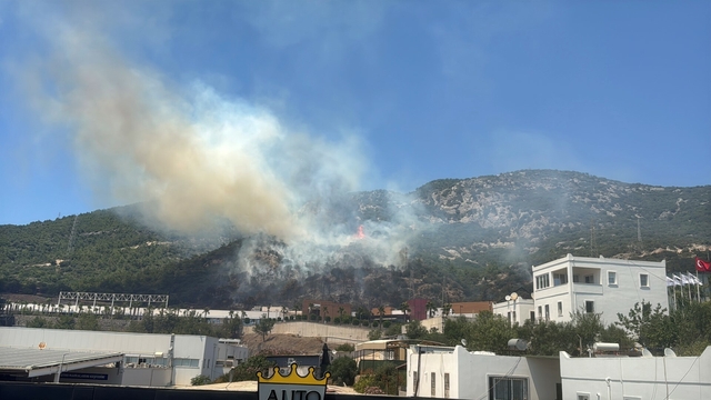Bodrum'da maki yangınında alevler onmana sıçradı; AVM tahliye edildi (2)