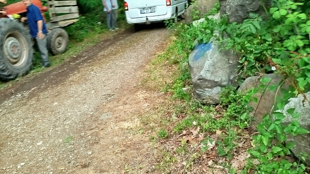 Düzce'de kestiği ağacın altında kalan kişi öldü