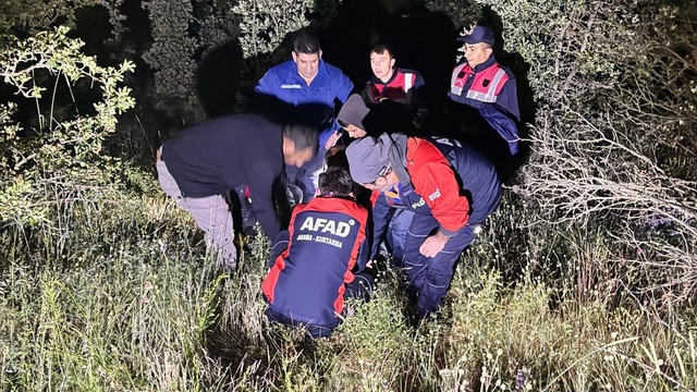 Kaybolan zihinsel engelli kadın, ormanda bulundu