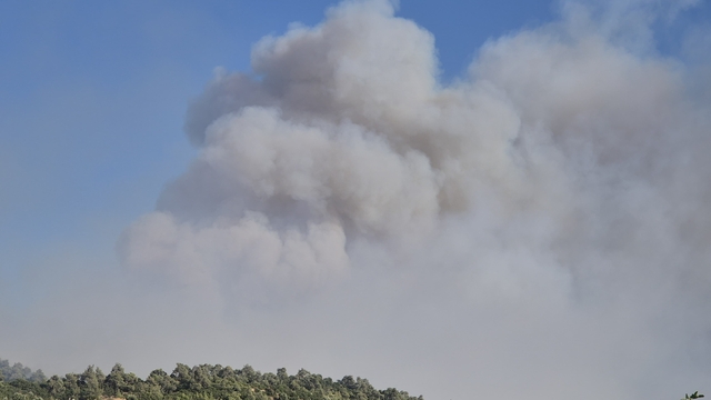 Manisa'nın Ahmetli ilçesinde çıkan orman yangınına müdahale ediliyor