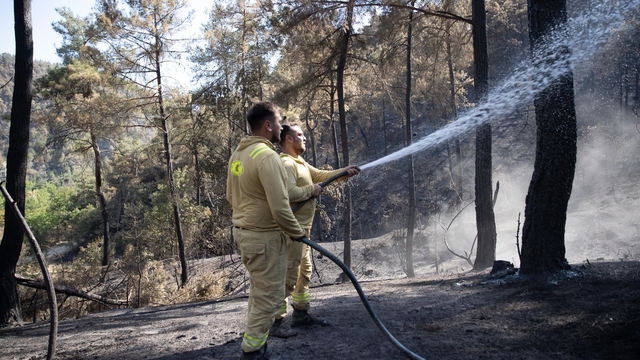 Sakarya'daki orman yangınında ekipler hayvanlar için seferber oldu (3)