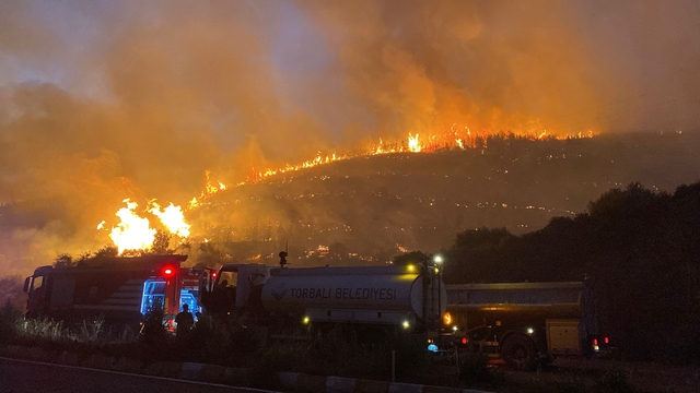 İzmir'deki orman yangını 2'nci gününde (6)