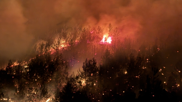 Adana'da orman yangını (4)