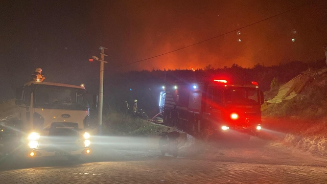 İzmir'deki orman yangını 2'nci gününde (7)