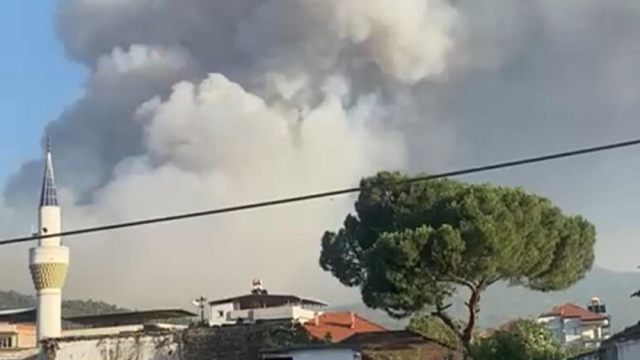 Manisa'da çöplük yangını ormana sıçradı