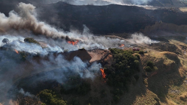 Manisa'da çöplük yangını ormana sıçradı (2)