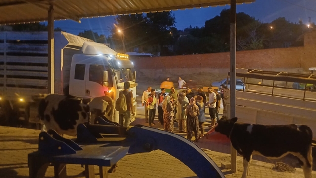 Manisa'da çöplük yangını ormana sıçradı (3)