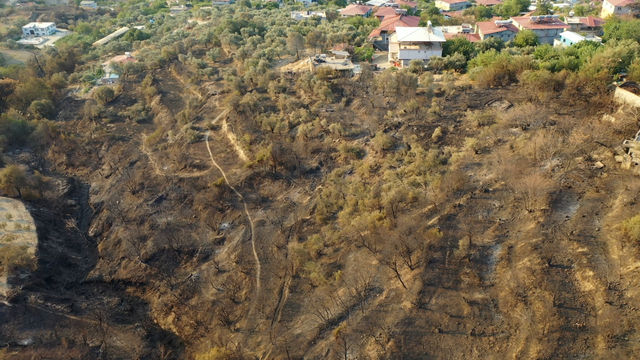 Hatay'da devam eden orman yangınında zarar gören alanlar havadan görüntülendi