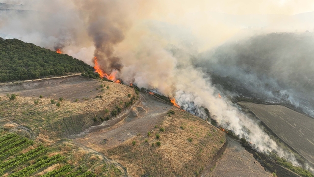 Akhisar'daki yangın 4'üncü gününde; Kula ve Ahmetli de alevlere teslim